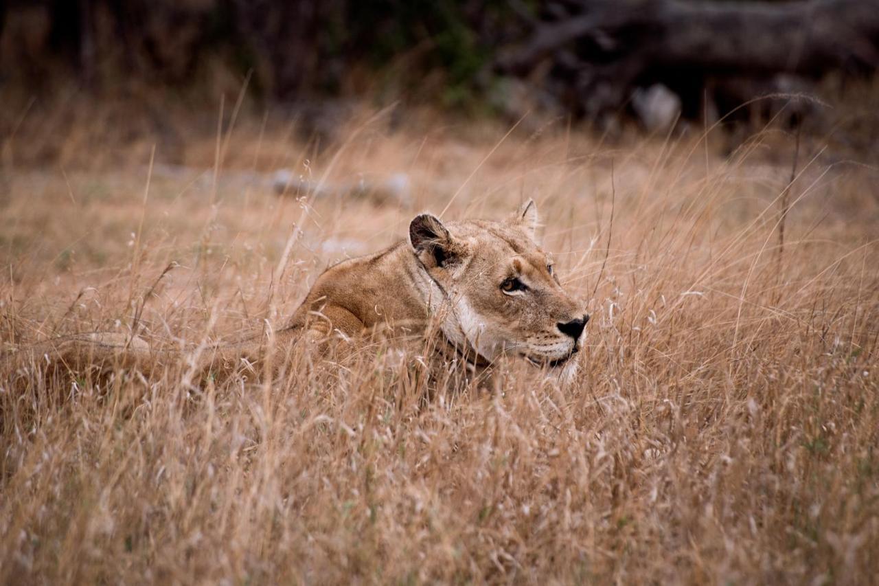 Tshukudu Game Lodge Ходспруит Екстериор снимка
